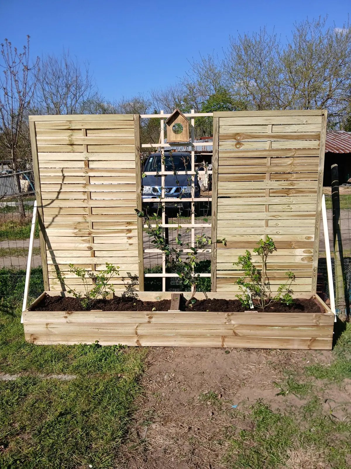 Jardinière en bois sur mesure avec claustra et plantations